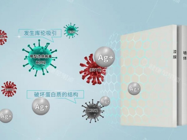 健康蘋果抗病毒涂料，保衛家居健康！