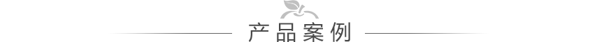 藝術漆