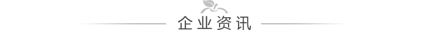 仿石漆品牌