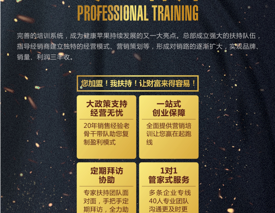 仿石漆加盟