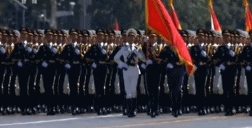 1569549182189282.gif
