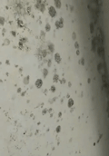 陽臺漆.gif