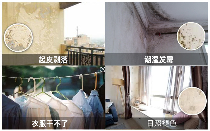 陽臺漆.jpg