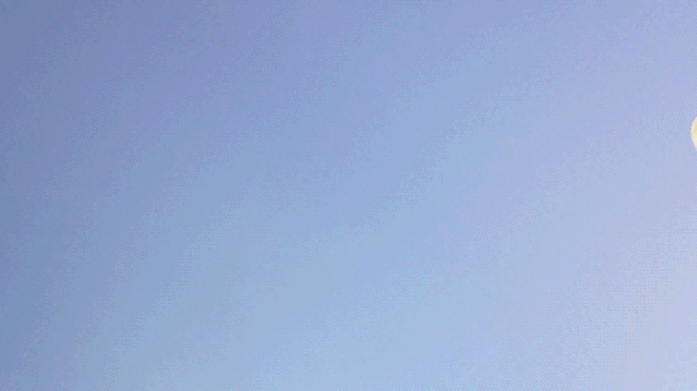 1572571519539002.gif