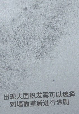 抗病毒涂料.gif