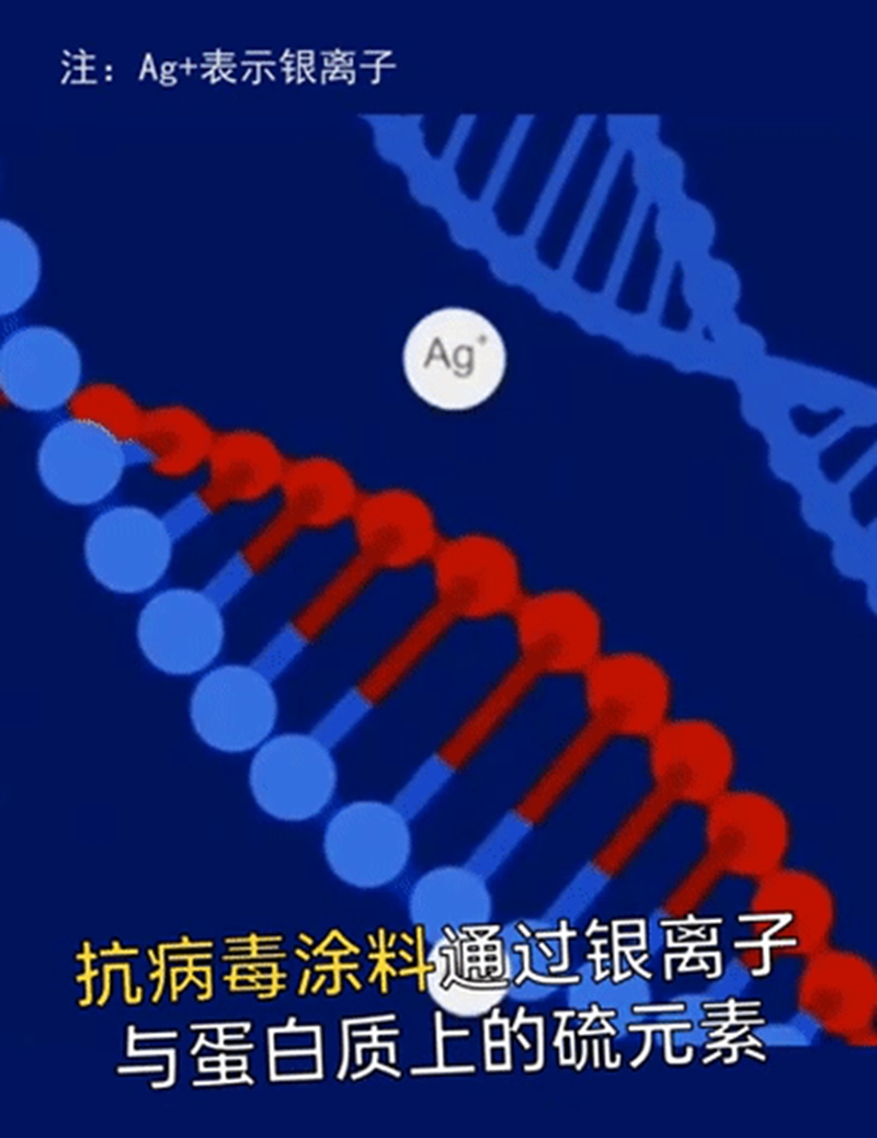 抗病毒健康凈味水漆.jpg