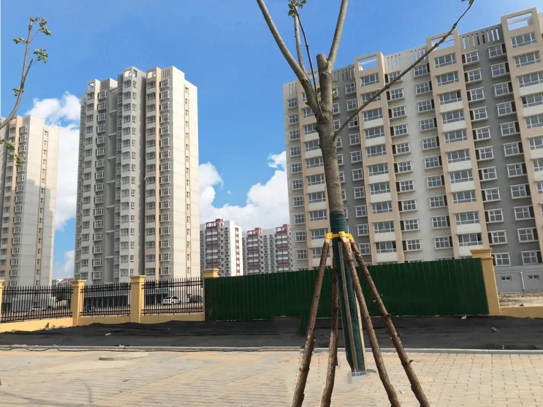 仿石漆
