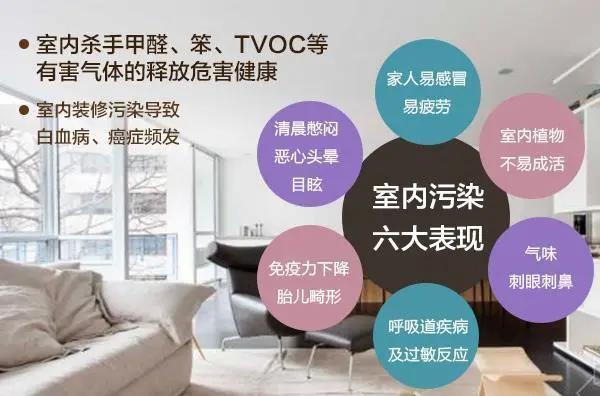 抗病毒健康凈味兒童漆