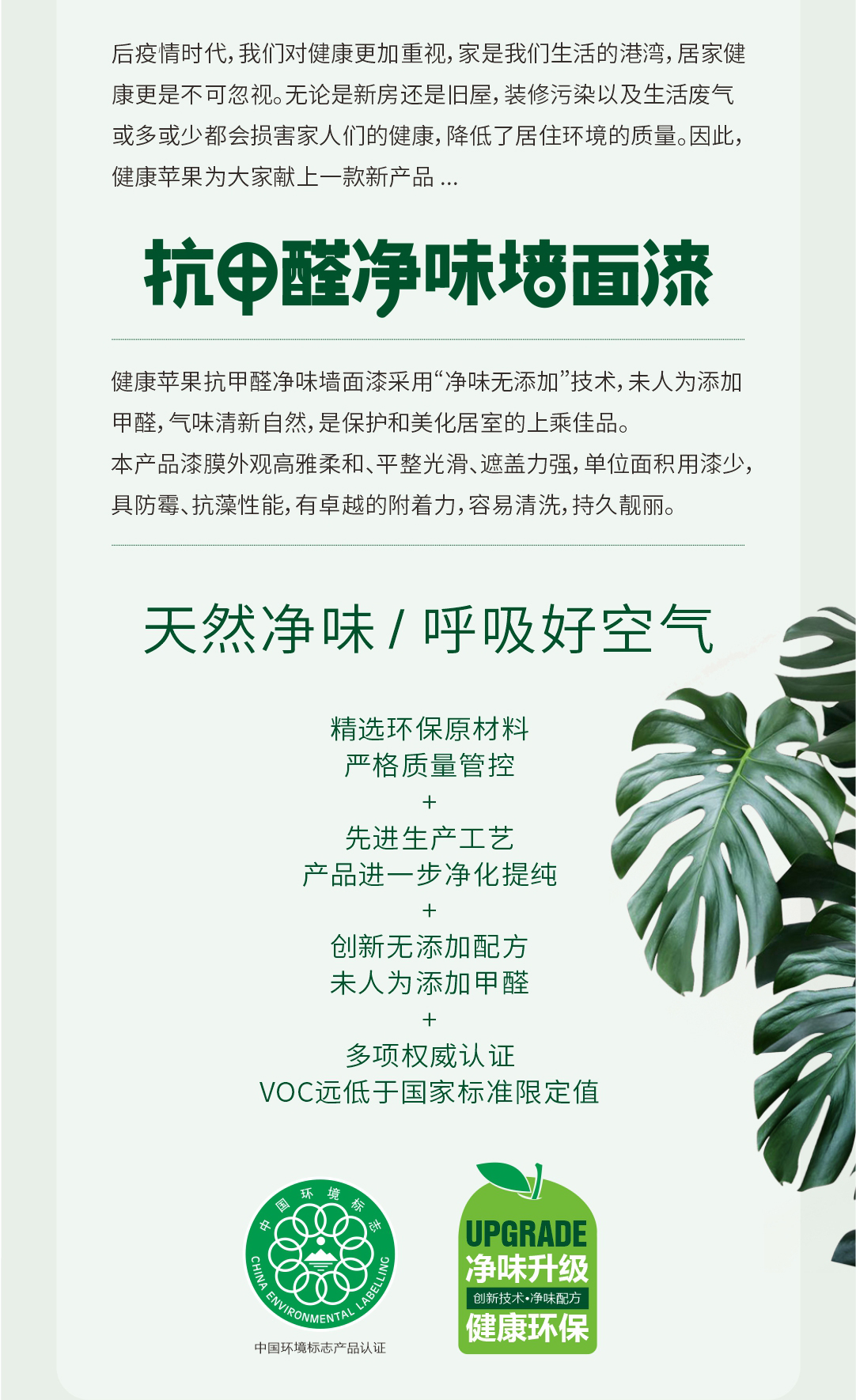 抗甲醛凈味墻面漆2.jpg